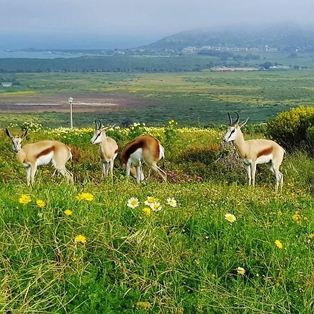Berg En Dal Accommodation Saldanha Bay Εξωτερικό φωτογραφία